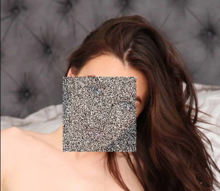 Noise cover